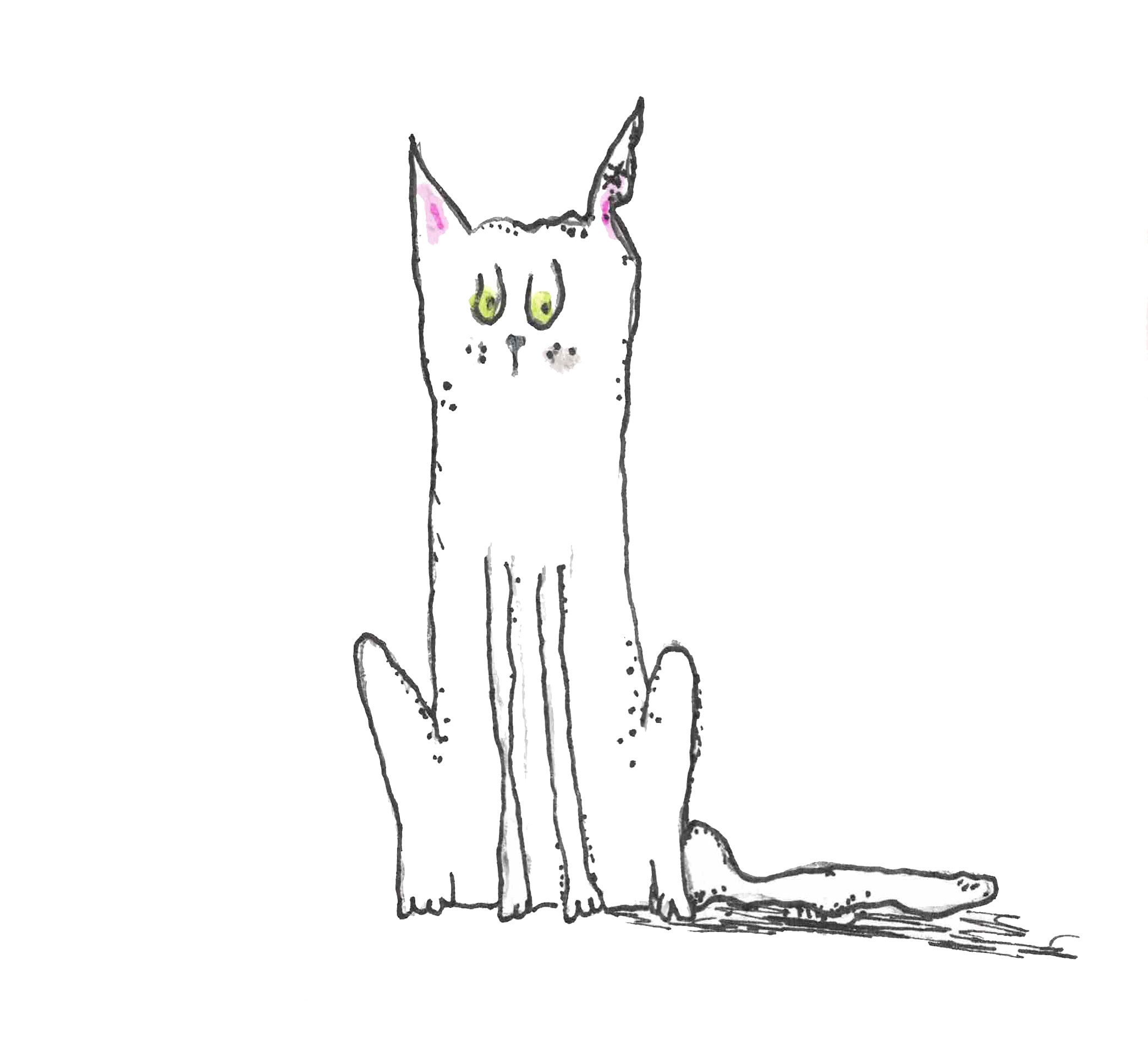 A drawing of a white cat